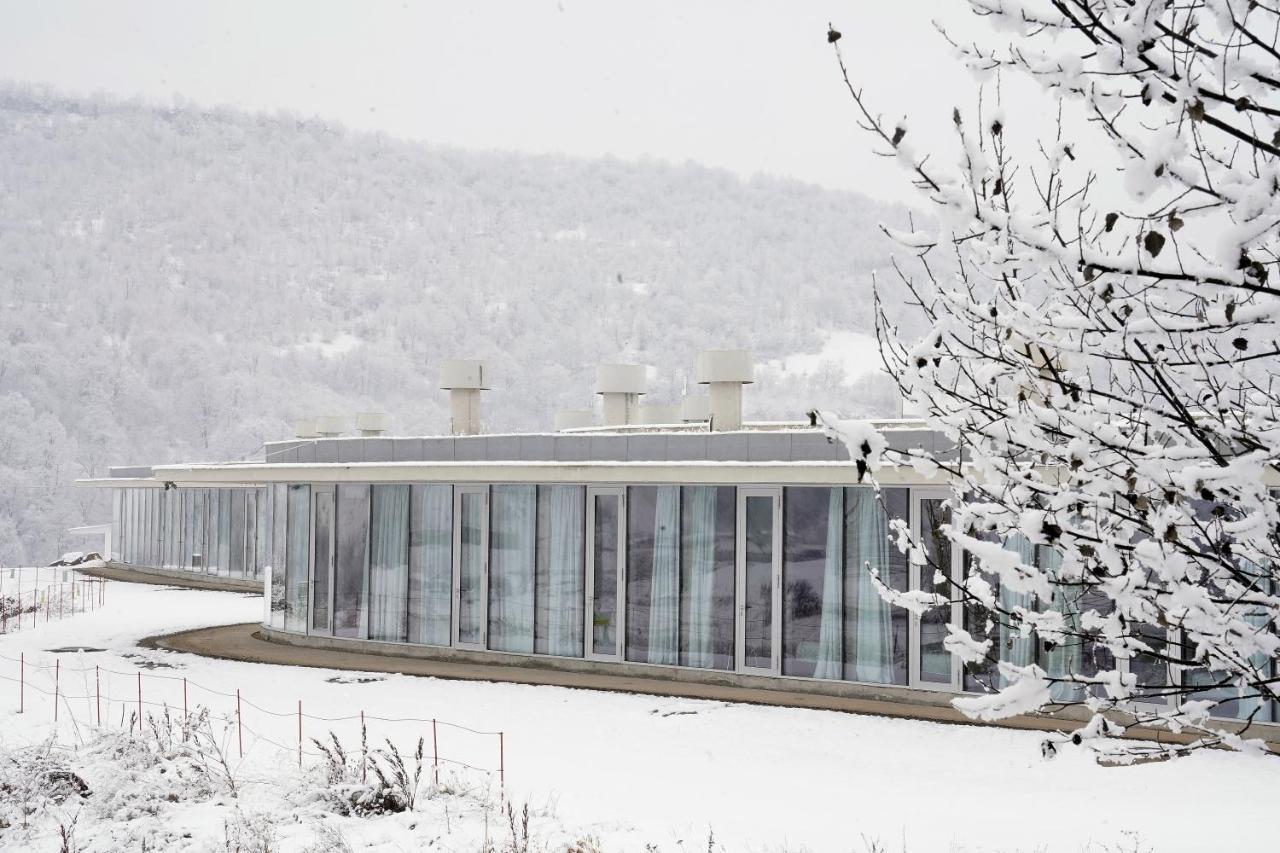 Concept Hotel By Coaf Debed Zewnętrze zdjęcie